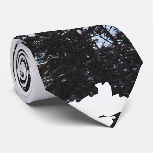 Kiefer Krawatte (Gerollt)