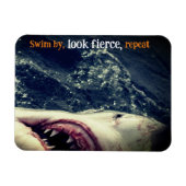 Kiefer Magnet (Horizontal)