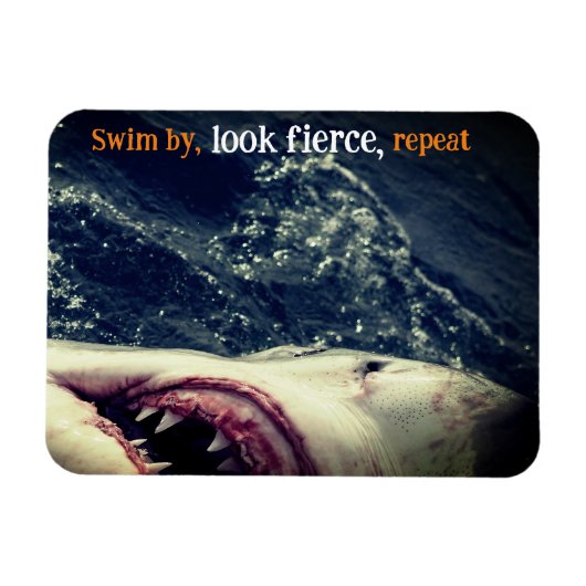 Kiefer Magnet (Horizontal)