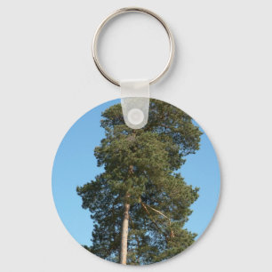 Kiefer Schlüsselanhänger