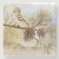 Kiefer Siskin Untersetzer