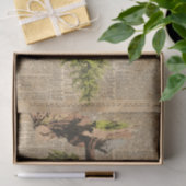 Kiefer, Zedern-Baum, Seidenpapier (Geschenk)