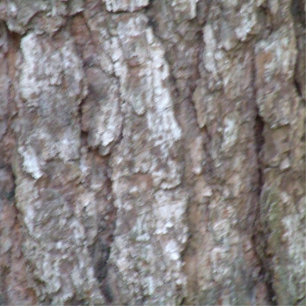 Kiefern-Baum-Barken-Camouflage-natürliche hölzerne Freistehende Fotoskulptur