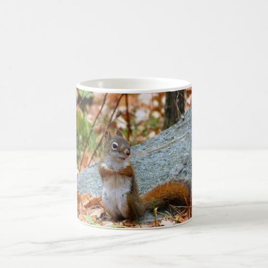 Kiefern-Eichhörnchen Kaffeetasse (Mittel)
