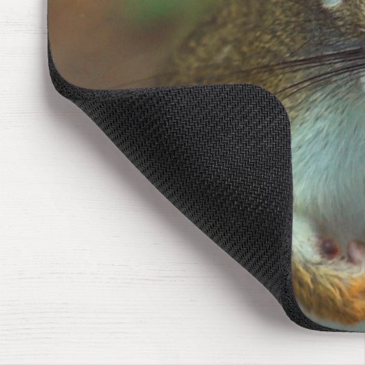 Kiefern-Eichhörnchen Mousepad (Ecke)