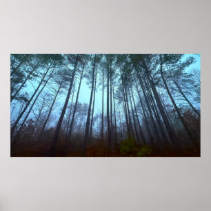 Kiefern im Nebel Poster