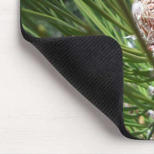 Kiefern-Kegel-Nüsse Mousepad (Ecke)