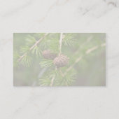 Kiefern-Kegel Visitenkarte (Rückseite)