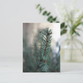 Kiefern Postkarte (Stehend Vorderseite)
