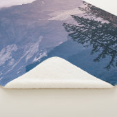 KIEFERN SHERPADECKE (3/4)