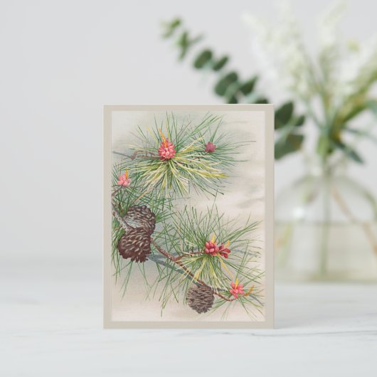 Kiefern und Blume Weihnachten Postkarte (Stehend Vorderseite)