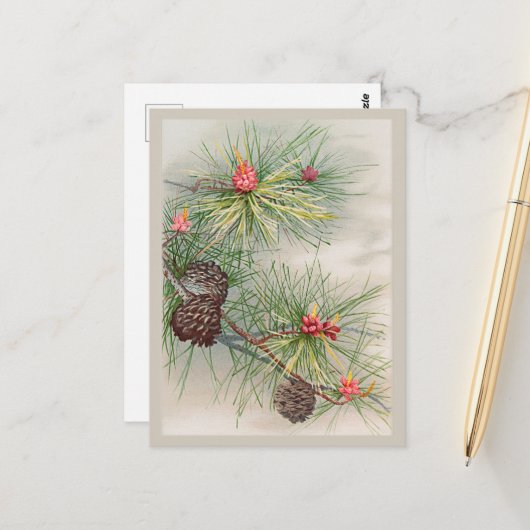 Kiefern und Blume Weihnachten Postkarte (Vorderseite/Rückseite Beispiel)