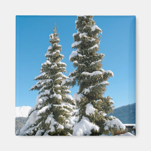 Kiefern unter dem Schnee Magnet