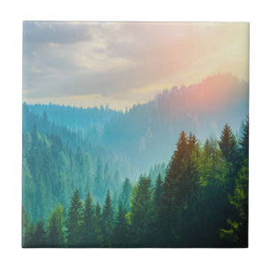 Kiefern-Wald in den Dolomit, Italien Fliese