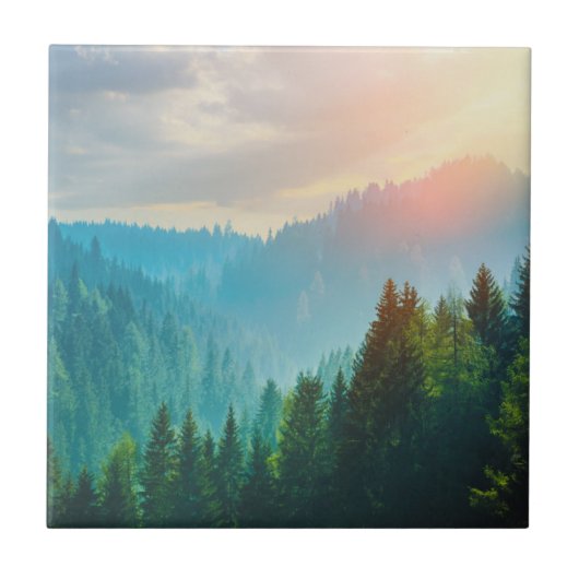 Kiefern-Wald in den Dolomit, Italien Fliese (Vorderseite)