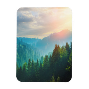 Kiefern-Wald in den Dolomit, Italien Magnet