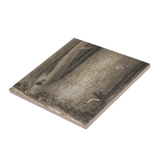 Kiefern-Wald, Oregon Fliese (Seite)