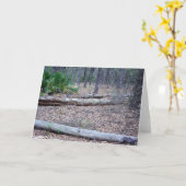 Kiefern-Waldanmerkungs-Karte Karte (Gelbe Blume)