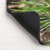 Kiefernadeln im Sonnenlicht Mousepad (Ecke)