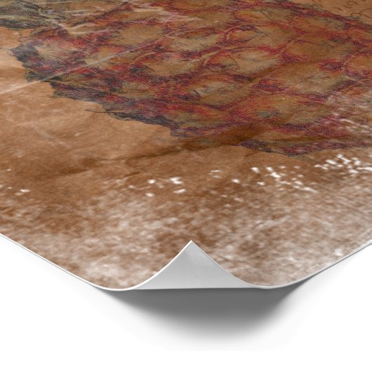 Kiefernapfel Poster (Ecke)