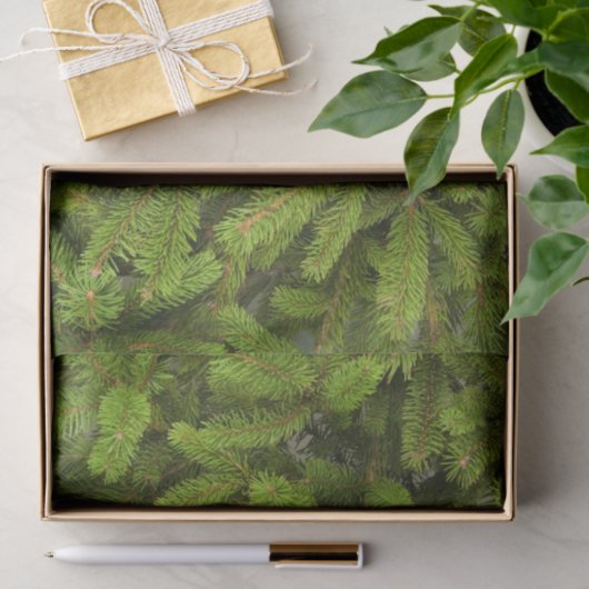 Kiefernäste Seidenpapier (Geschenk)