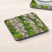 Kiefernbauch mit Moos Getränkeuntersetzer (Linke Seite)