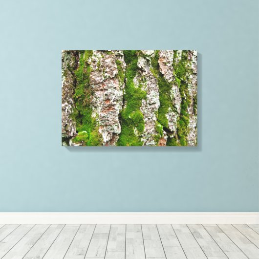 Kiefernbauch mit Moos Leinwanddruck (Insitu (Holzboden))