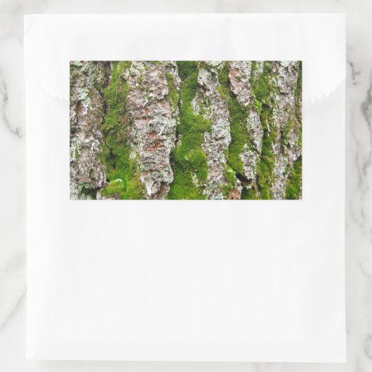 Kiefernbauch mit Moos Rechteckiger Aufkleber (Tasche)
