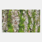 Kiefernbauch mit Moos Rechteckiger Aufkleber (Vorderseite)