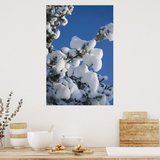 Kiefernbaum Poster (Küche)