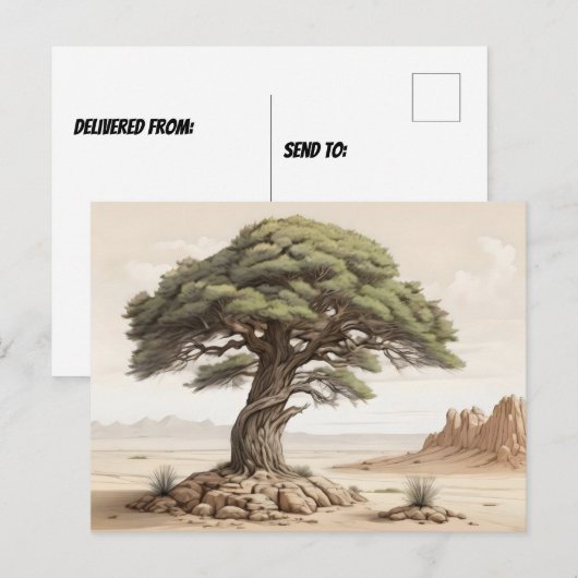 Kiefernbaum Postkarte (Vorne/Hinten)