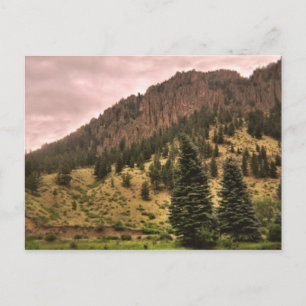 Kiefernbaum-Schönheitspostkarte Postkarte