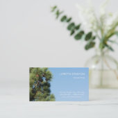 Kiefernbaum Visitenkarte (Stehend Vorderseite)