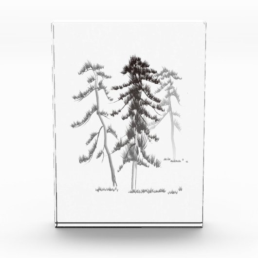 Kiefernbäume Fotoblock (Vorderseite)