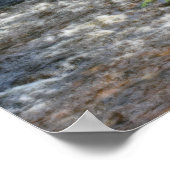 Kiefernbäume gegen Razzien im Stream Orton Poster (Ecke)