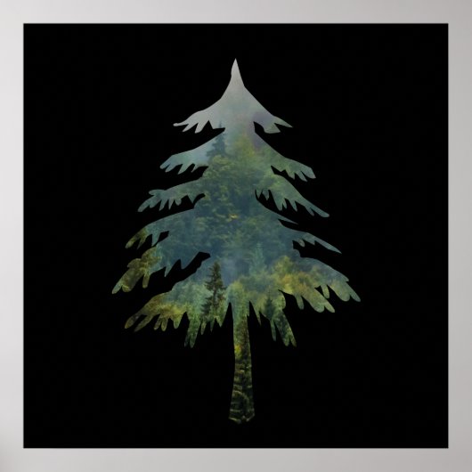 Kiefernbäume in den Wald Poster (Vorne)