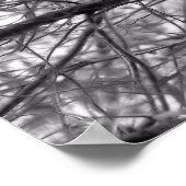 Kiefernbäume in Schwarz und Weiß Poster (Ecke)