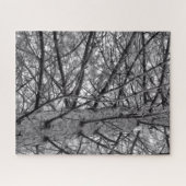 Kiefernbäume in Schwarz und Weiß Puzzle (Horizontal)