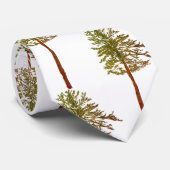 Kiefernbäume Krawatte (Gerollt)