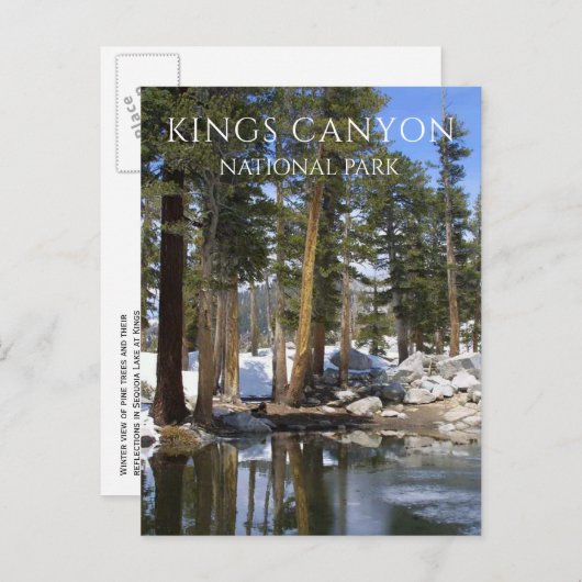 Kiefernbäume, Schnee, Sequoia-See, Könige Canyon N Postkarte (Vorne/Hinten)