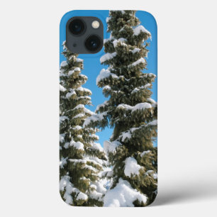 Kiefernbäume unter dem Schnee Case-Mate iPhone Hülle