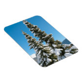 Kiefernbäume unter dem Schnee Magnet (Rechte Seite)