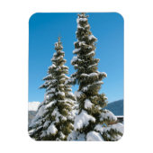 Kiefernbäume unter dem Schnee Magnet (Vertikal)