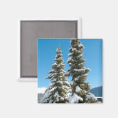 Kiefernbäume unter dem Schnee Magnet (Vorderseite/Rückseite)