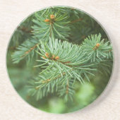 Kiefernbaumnähe Getränkeuntersetzer (Vorne)