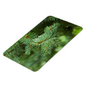 Kiefernbaumnähe Magnet (Linke Seite)