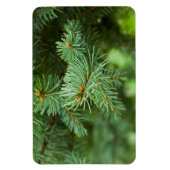 Kiefernbaumnähe Magnet (Vertikal)