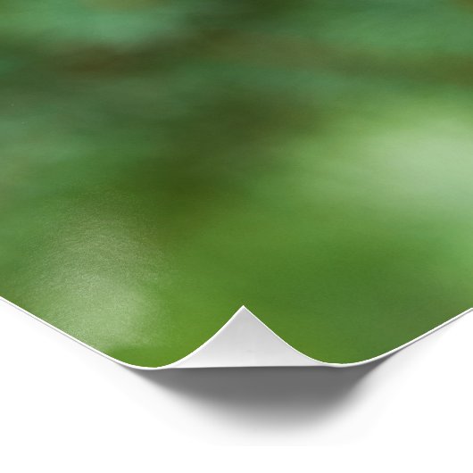 Kiefernbaumnähe Poster (Ecke)