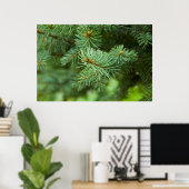 Kiefernbaumnähe Poster (Heimbüro)