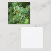 Kiefernbaumnähe Quadratische Visitenkarte (Vorne/Hinten)